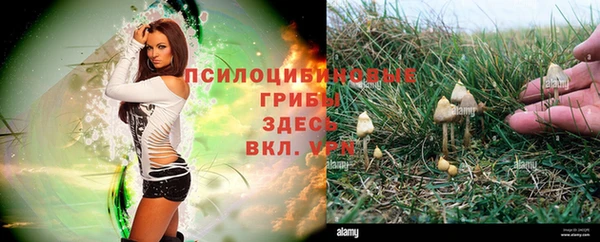 первитин Михайлов
