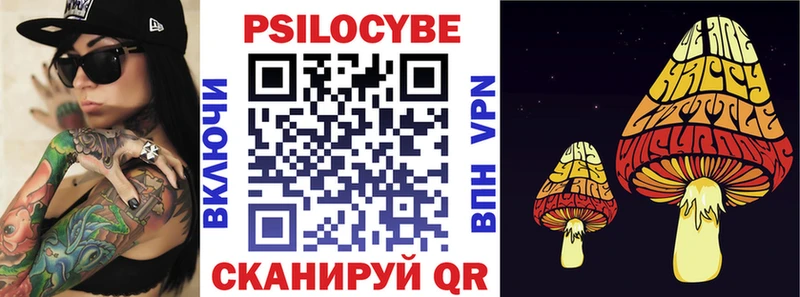 Псилоцибиновые грибы Psilocybe  купить наркоту  Братск 
